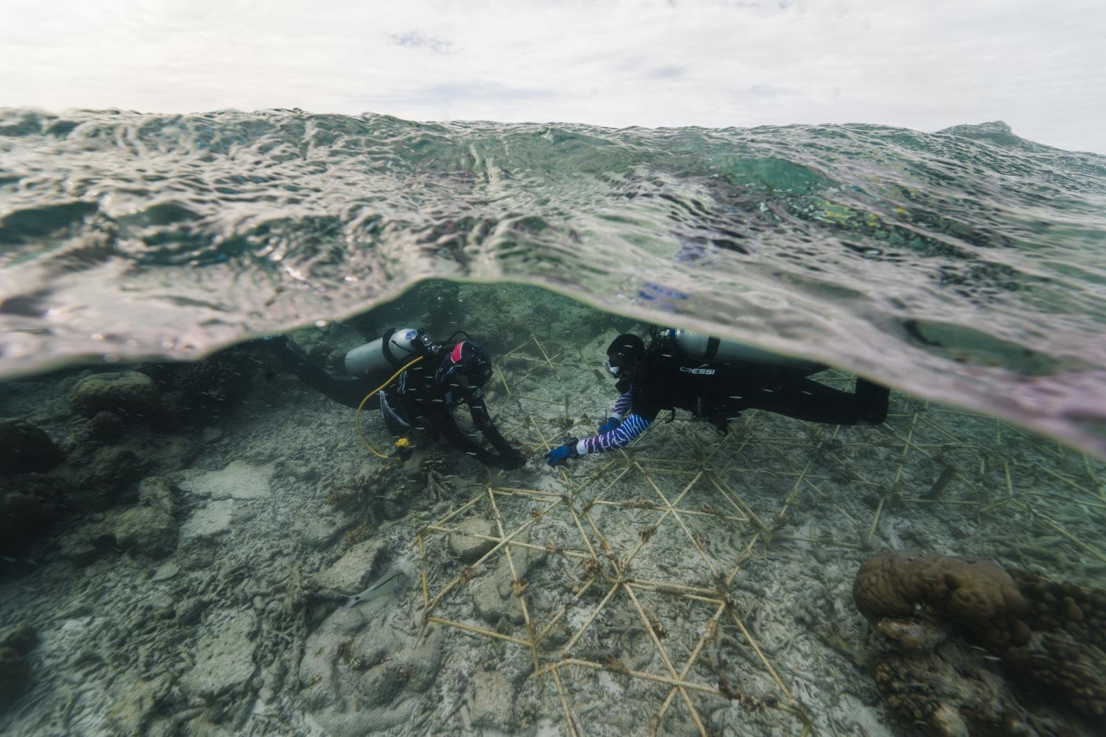 Constance Moofushi Maldives Partners with Mars to Restore Coral Reefs