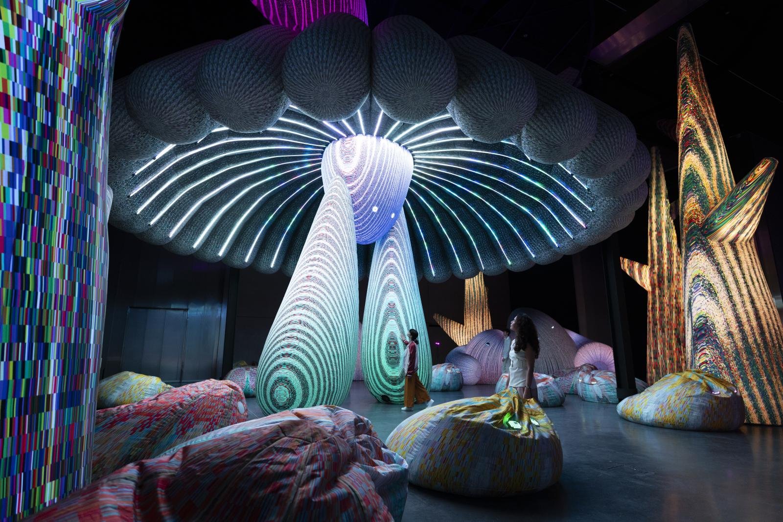 Quoz Arts Fest 2026 Returns With Experimental Installations