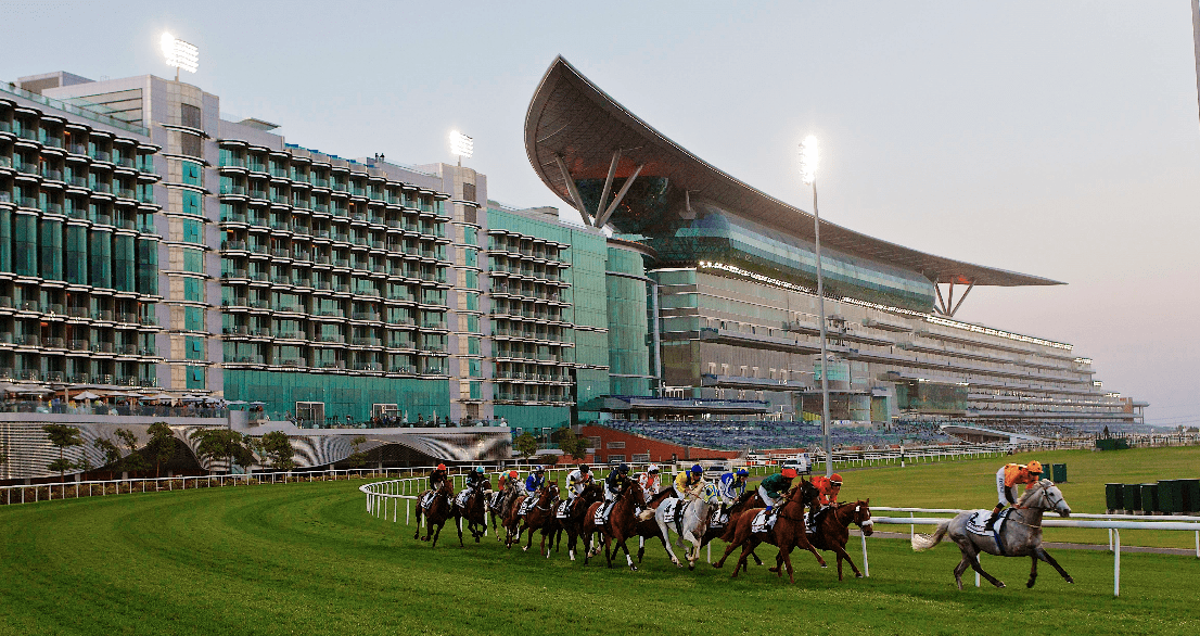 Your Complete Guide to the Dubai World Cup 2026