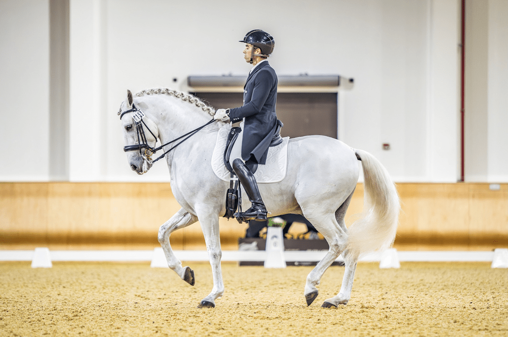 The Royal Stables Set to Host UAE National Dressage Championships for the First Time